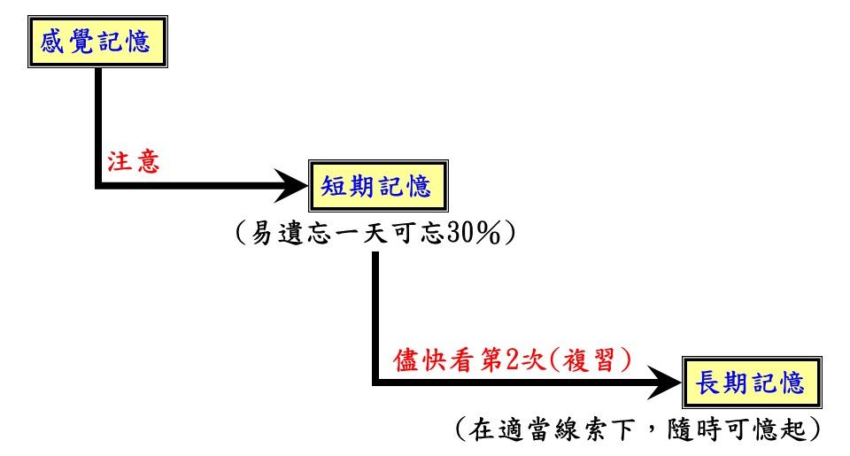 記憶理論.jpg