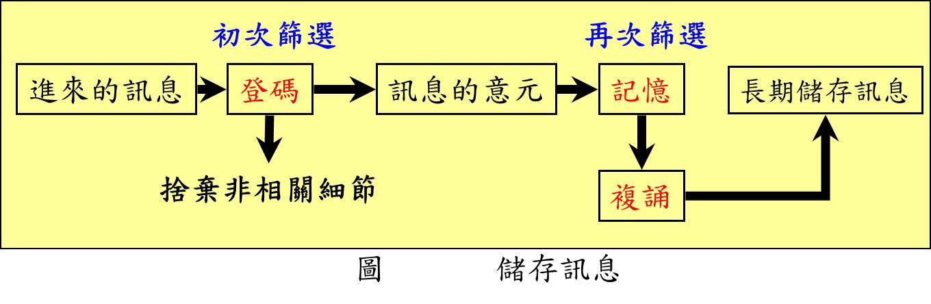 訊息儲存流程.jpg